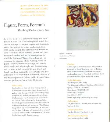 Figure, Form, Formula, The art of Pinchas Cohen Gan